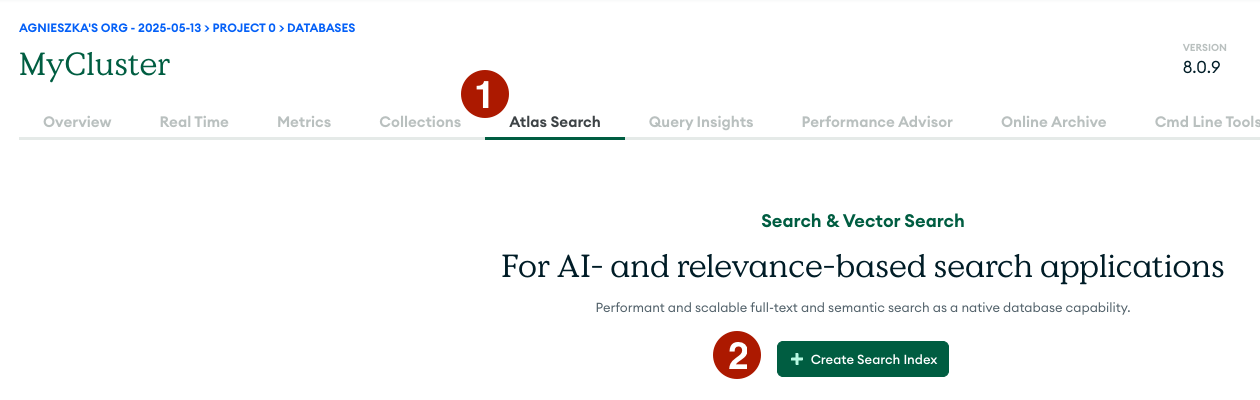 The Create Index option in MongoDB Atlas UI.